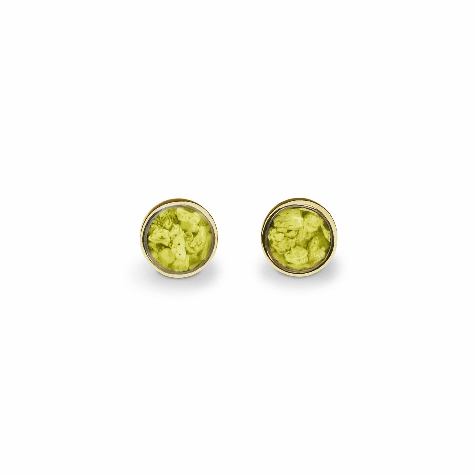 EverWith Ladies Classic Round Memorial Ashes Earrings 9k Yellow Gold Yellow