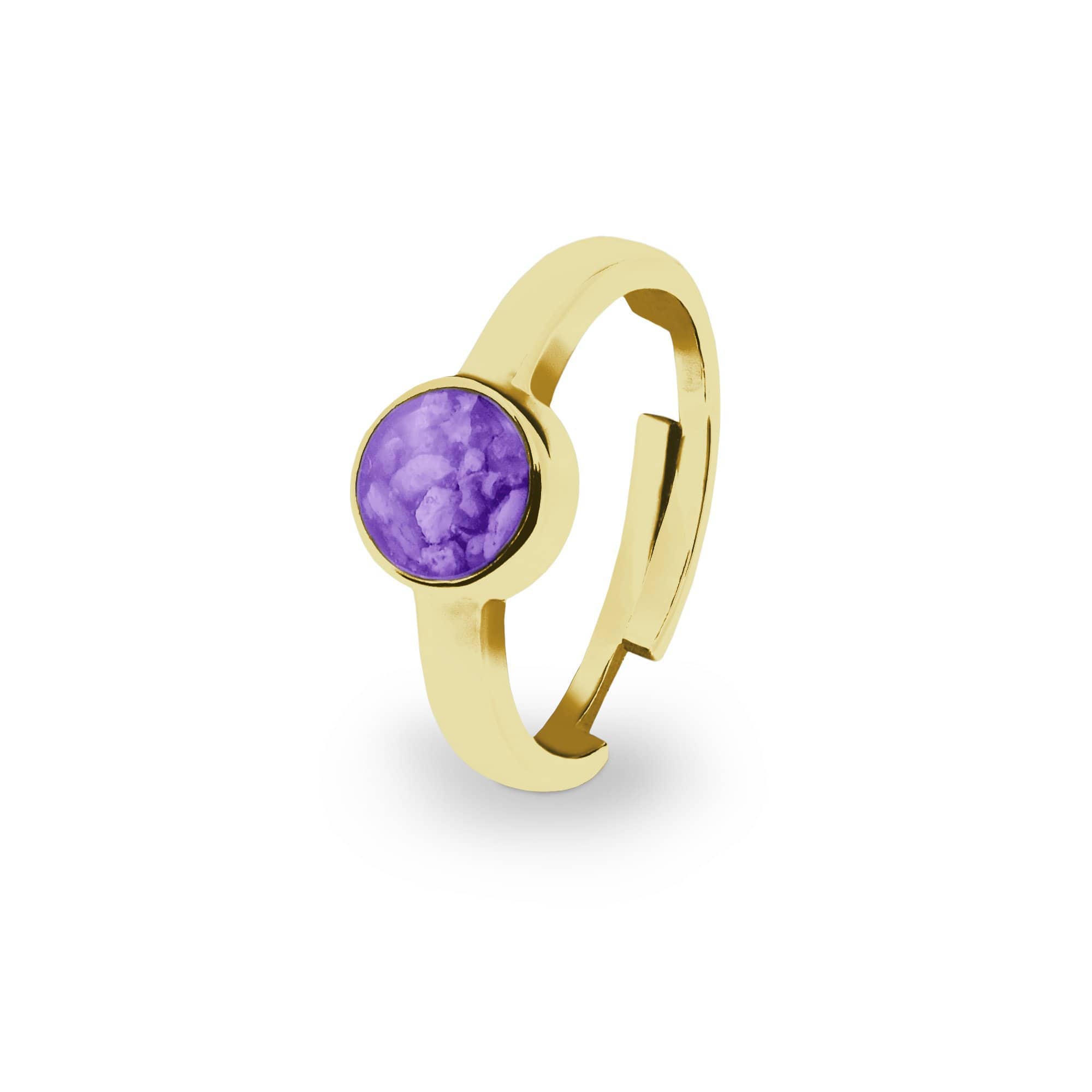 EverWith Ladies Multisize Round Memorial Ashes Ring 9k Yellow Gold Purple