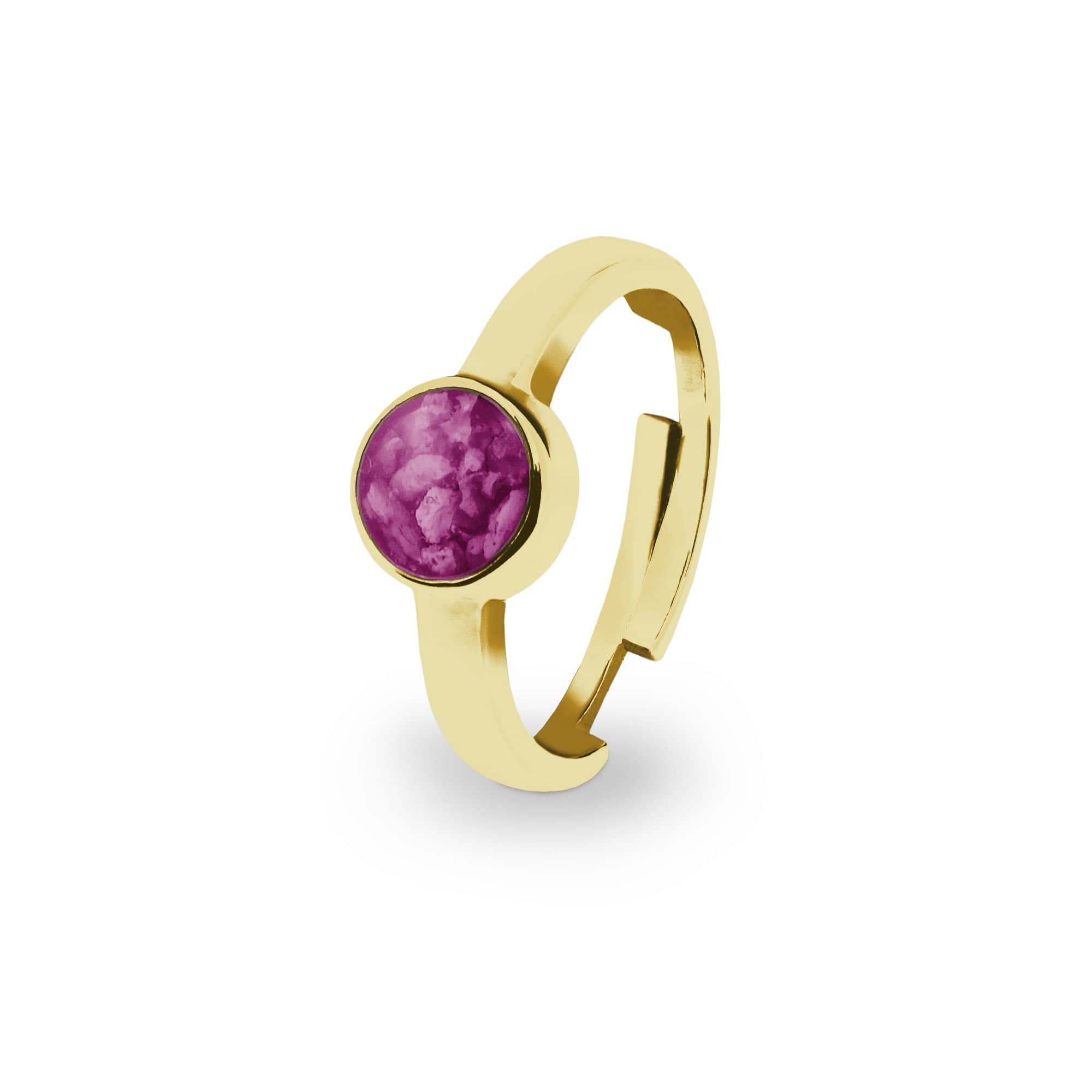 EverWith Ladies Multisize Round Memorial Ashes Ring 9k Yellow Gold Violet