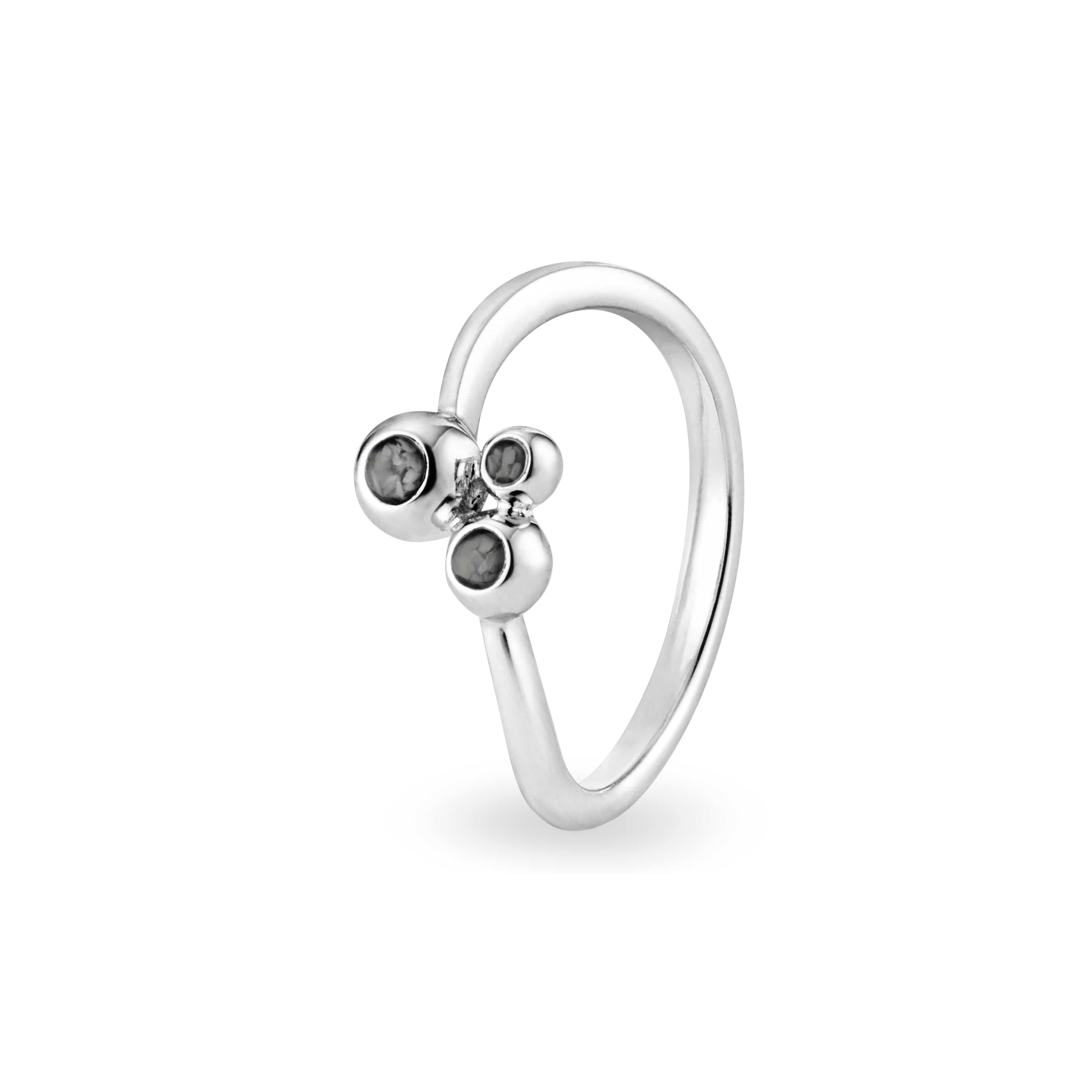 EverWith Ladies Rondure Array Triple Memorial Ashes Ring Black