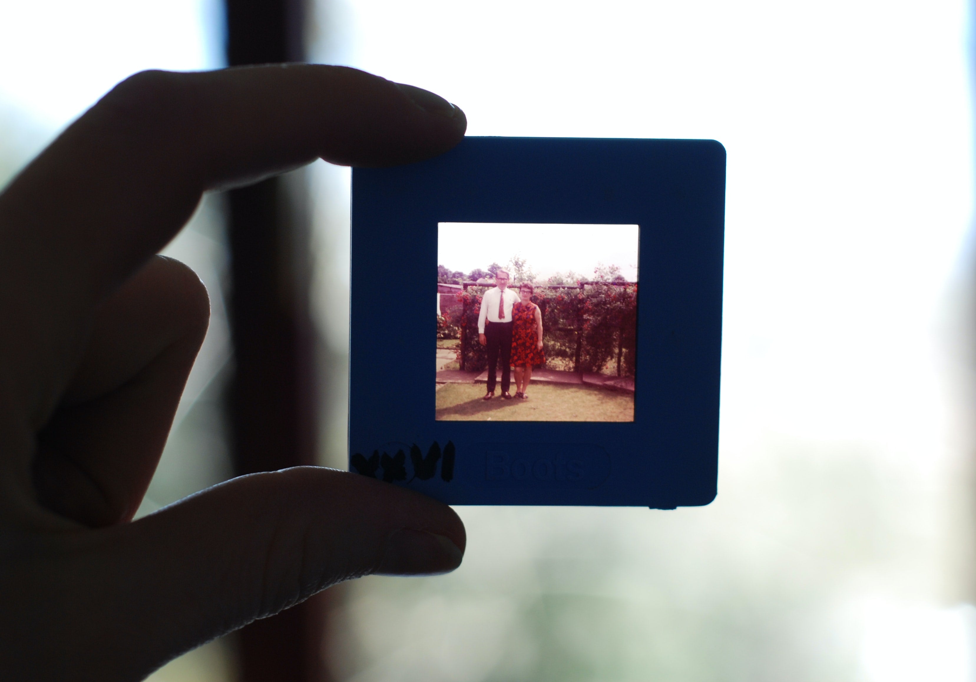 Tracing Your Roots: A Guide to Starting Your Family Tree Research