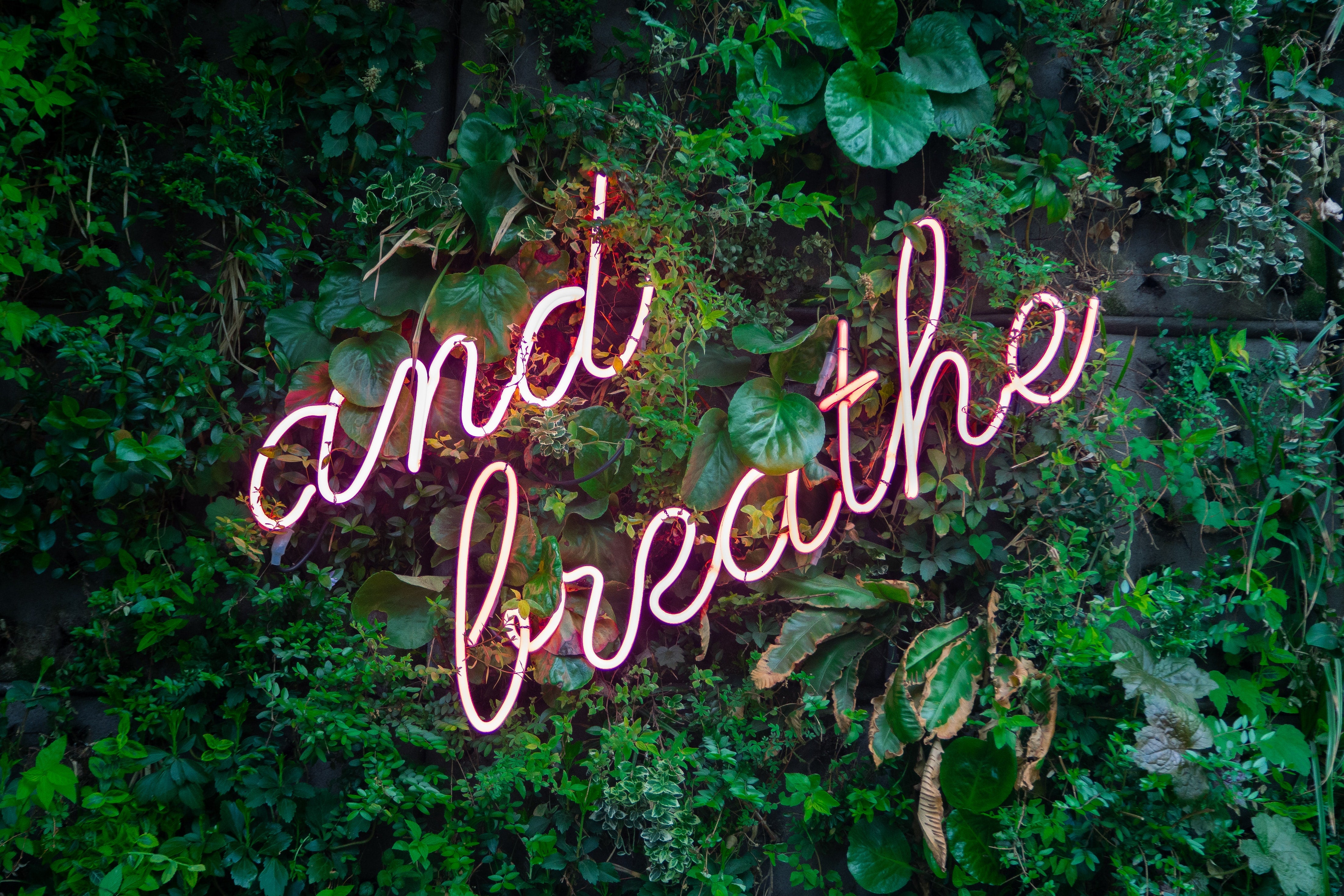 The Importance of Self-Care During Grief: Tips and Strategies for Coping