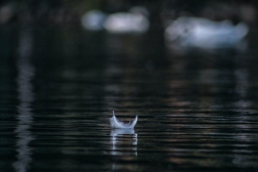 There is more than one type of grief – knowing the differences might help you