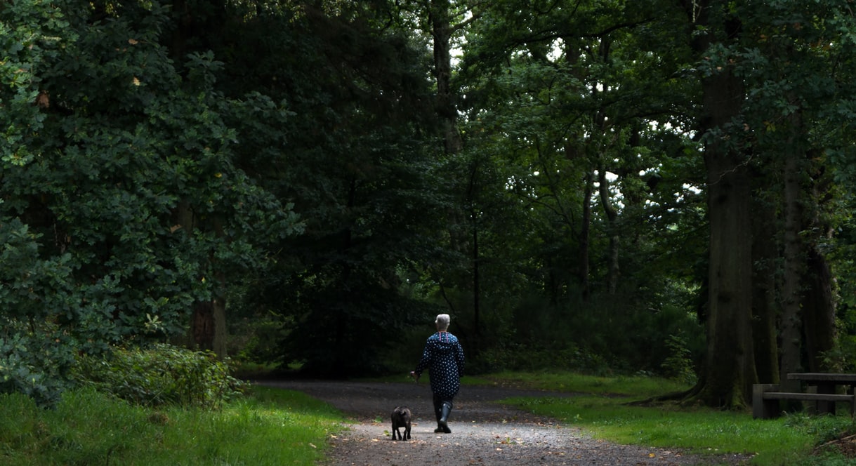 How to look after yourself when grieving the death of a pet