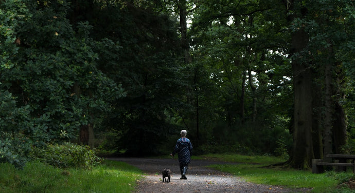 How to look after yourself when grieving the death of a pet