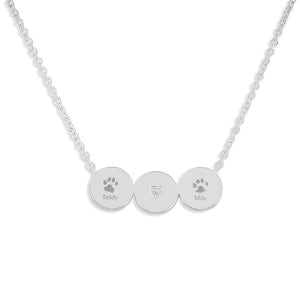 EverWith Engraved Three Circles Pawprint Memorial Necklace with Fine Crystal