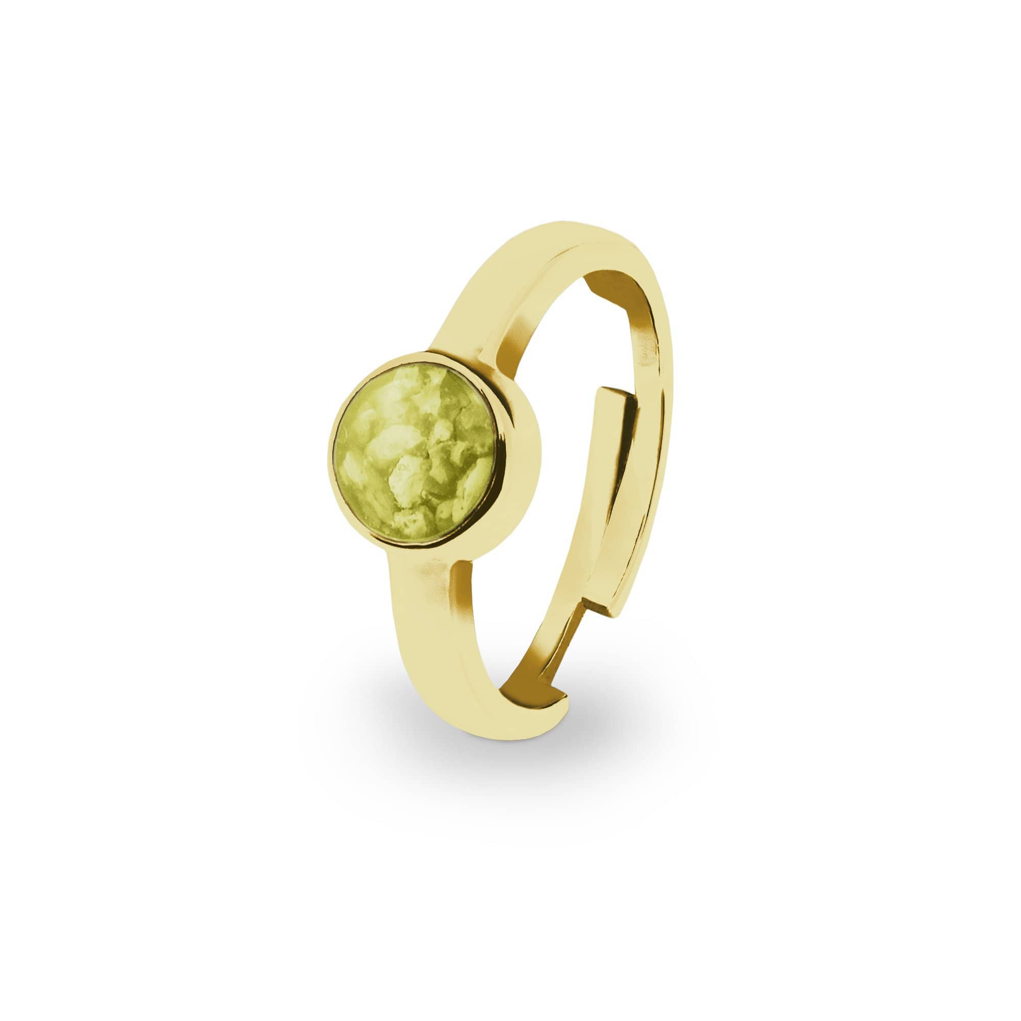 EverWith Ladies Multisize Round Memorial Ashes Ring 9k Yellow Gold Yellow