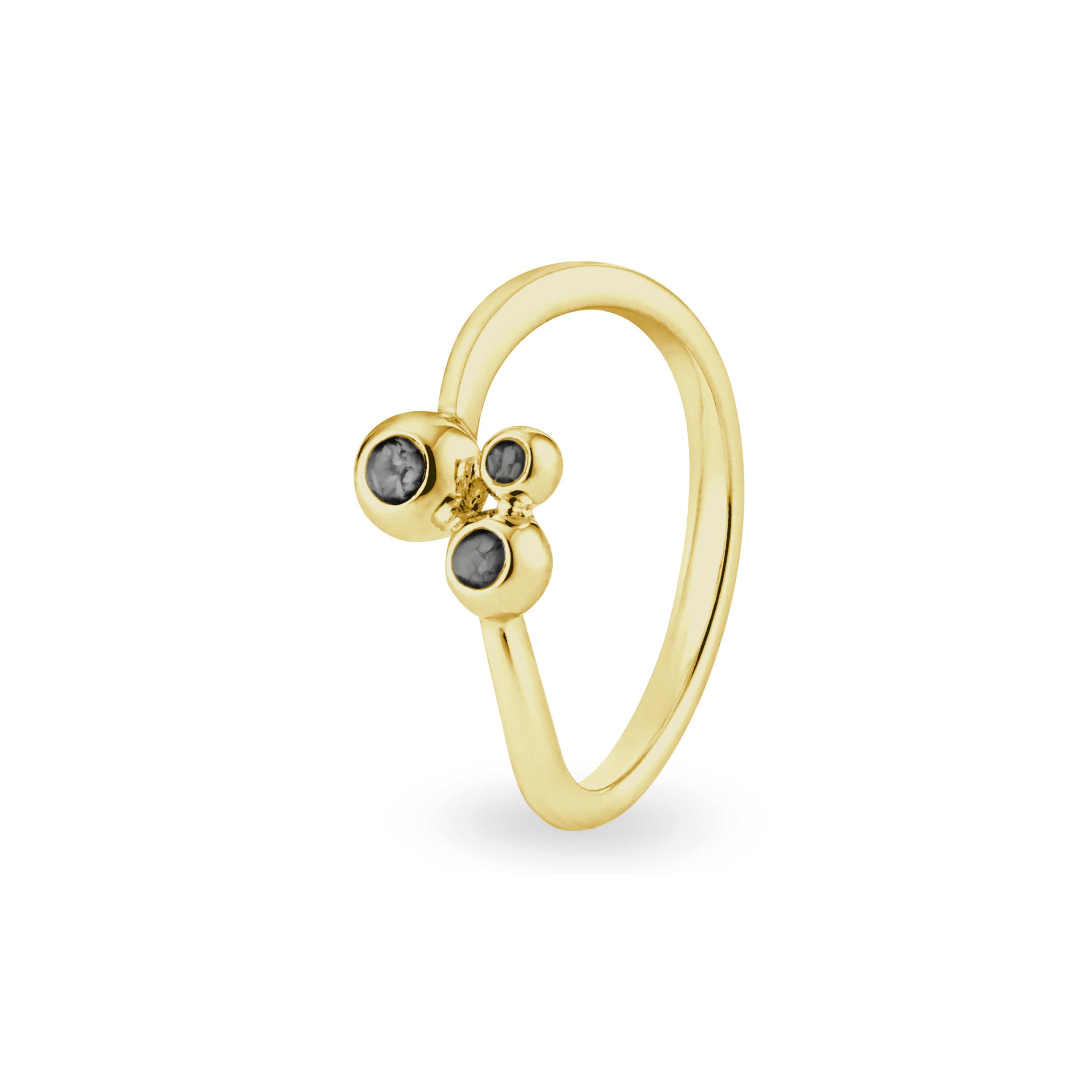 EverWith Ladies Rondure Array Triple Memorial Ashes Ring 9k Yellow Gold Black