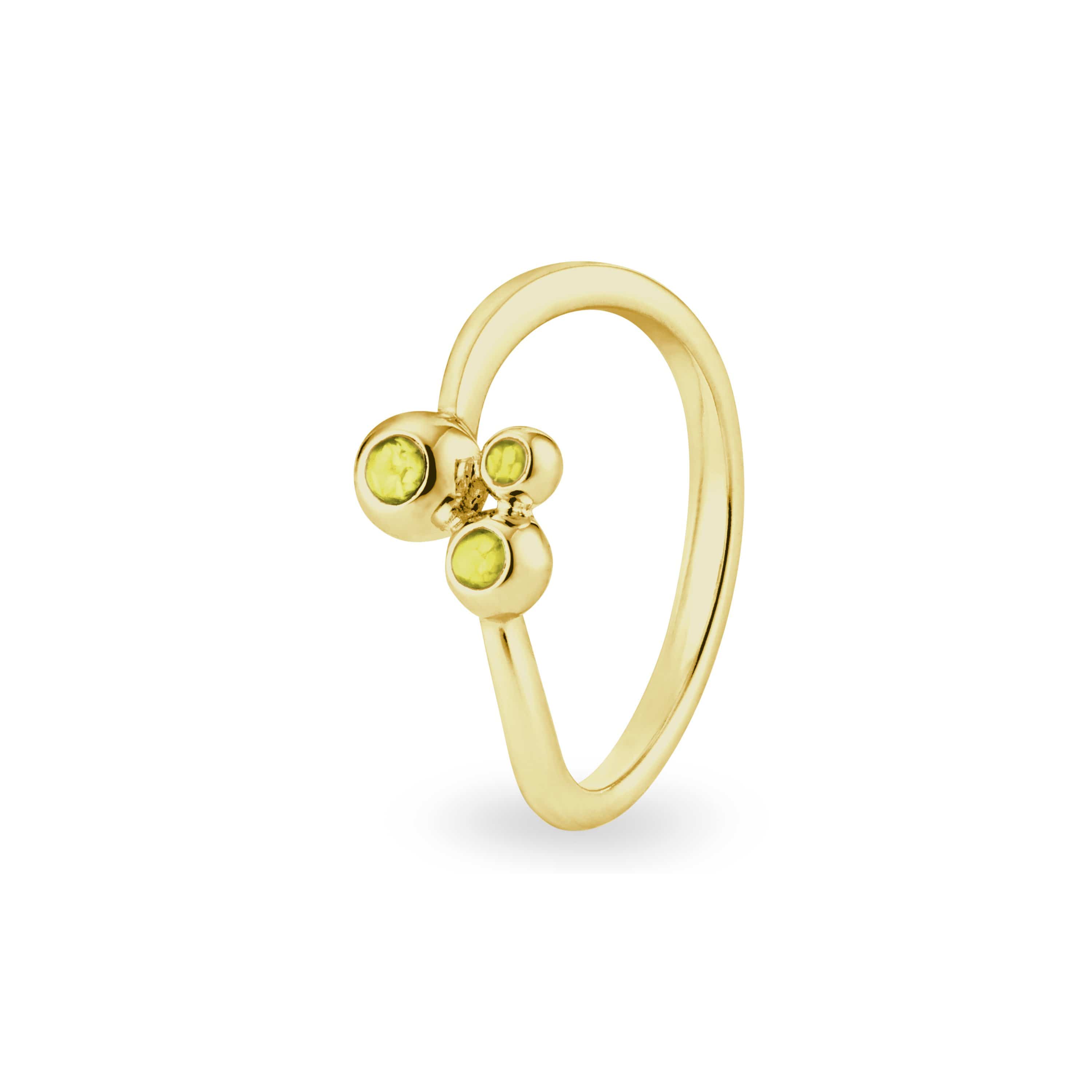 EverWith Ladies Rondure Array Triple Memorial Ashes Ring 9k Yellow Gold Yellow