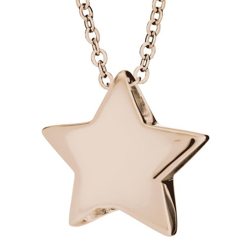 EverWith  Star Memorial Ashes Pendant
