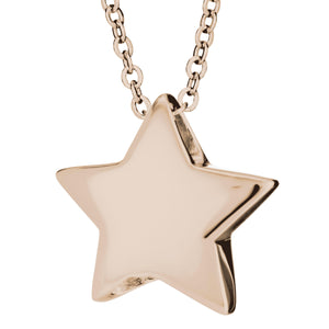 EverWith  Star Memorial Ashes Pendant