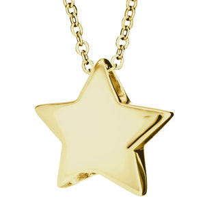 EverWith  Star Memorial Ashes Pendant