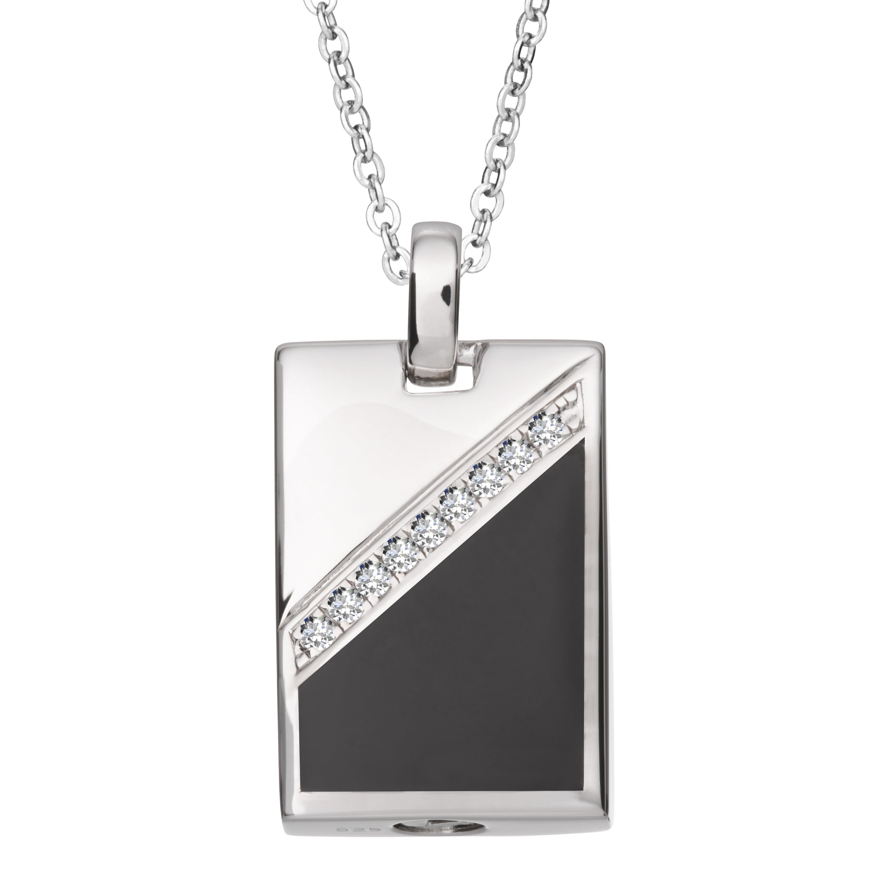 Dog tags for store ashes