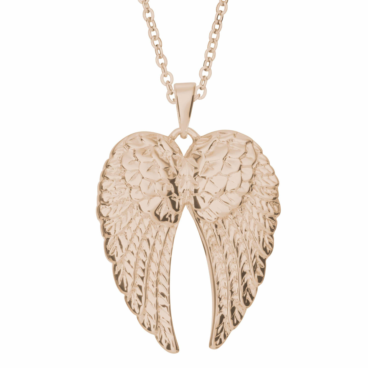 Load image into Gallery viewer, EverWith Self-fill Angel Wings Memorial Ashes Pendant