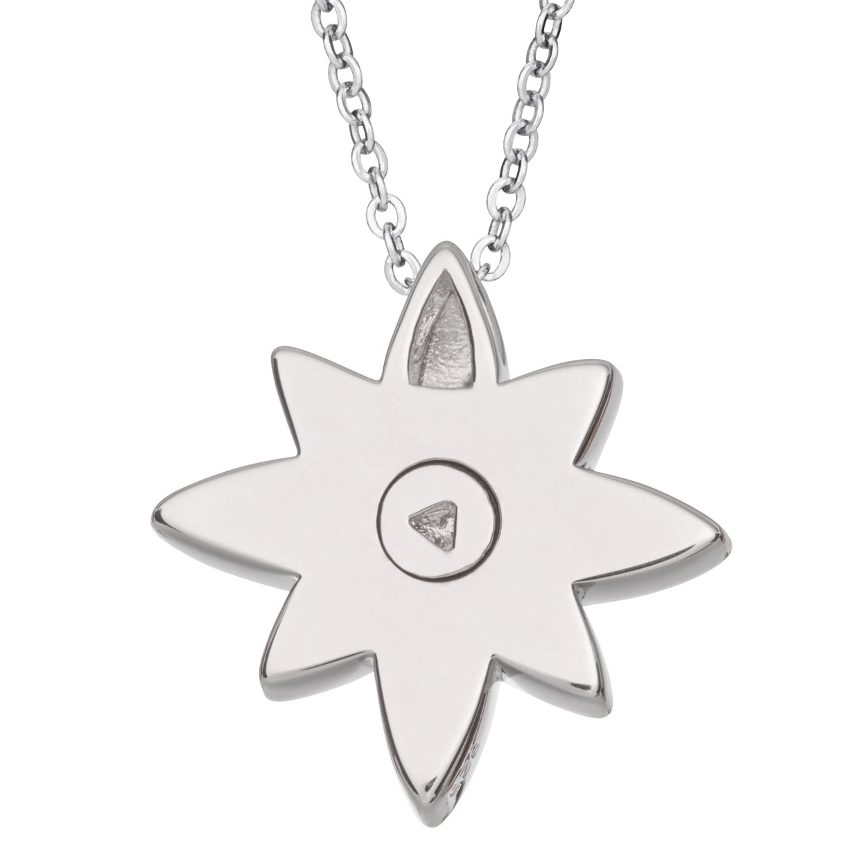 Load image into Gallery viewer, EverWith Self-fill Star Flower Memorial Ashes Pendant